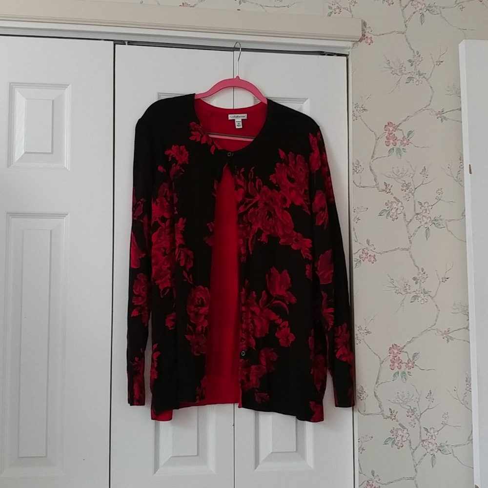 Cardigan sweater